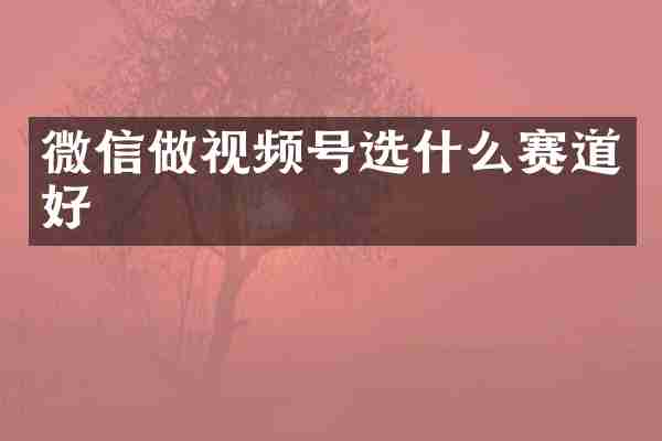 微信做视频号选什么赛道好