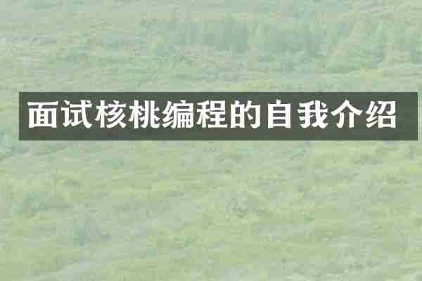 面试核桃编程的自我介绍