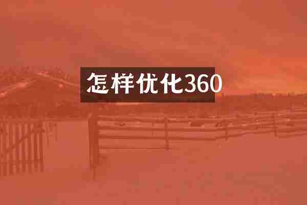 怎样优化360