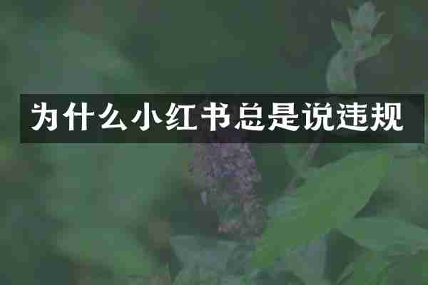 为什么小红书总是说违规