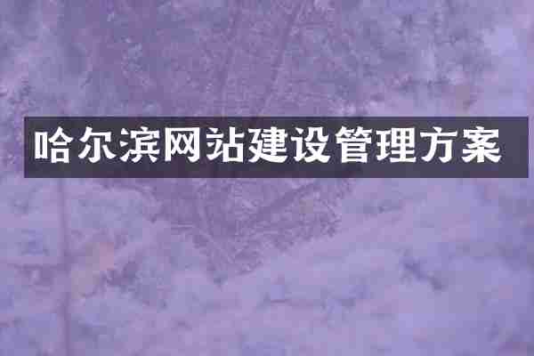 哈尔滨网站建设管理方案