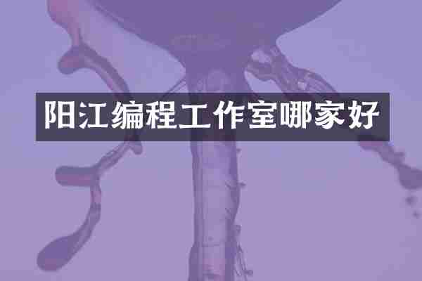 阳江编程工作室哪家好