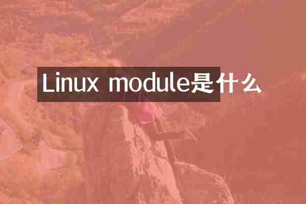 Linux module是什么