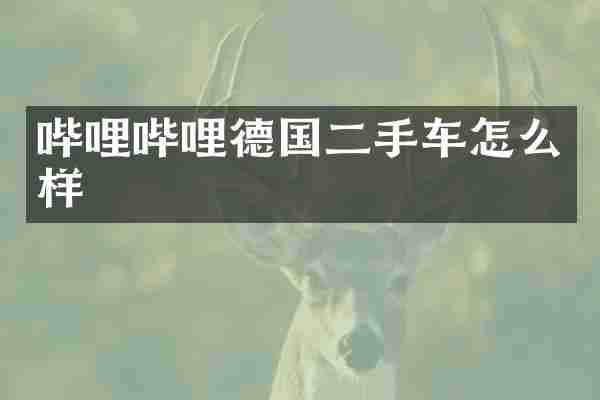 哔哩哔哩德国二手车怎么样