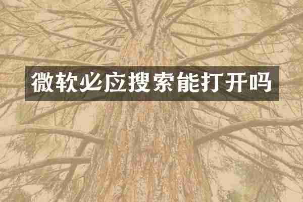 微软必应搜索能打开吗