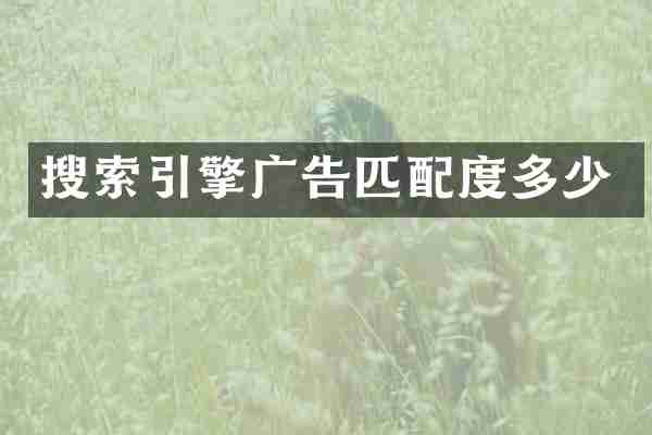 搜索引擎广告匹配度多少