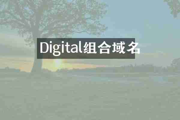 Digital组合域名