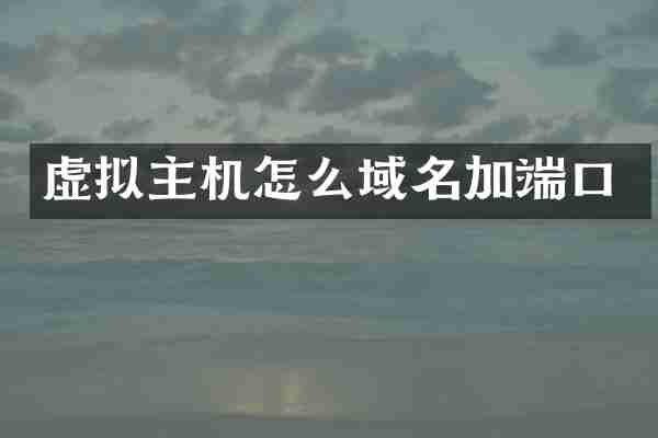 虚拟主机怎么域名加端口