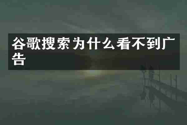 谷歌搜索为什么看不到广告
