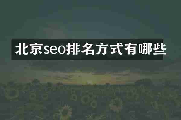 北京seo排名方式有哪些