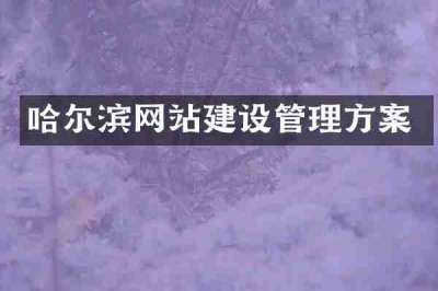哈尔滨网站建设管理方案