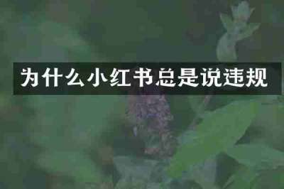 为什么小红书总是说违规