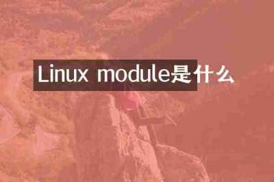 Linux module是什么
