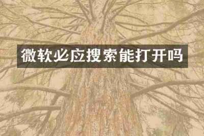 微软必应搜索能打开吗