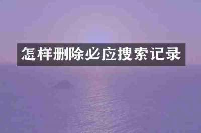 怎样删除必应搜索记录