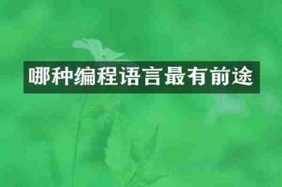 哪种编程语言最有前途