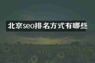 北京seo排名方式有哪些