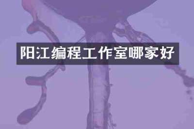 阳江编程工作室哪家好