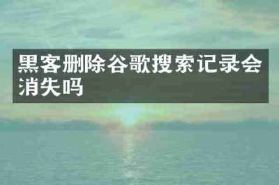 黑客删除谷歌搜索记录会消失吗