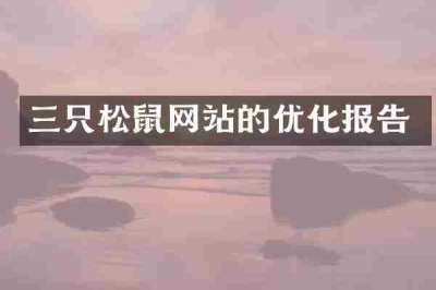 三只松鼠网站的优化报告