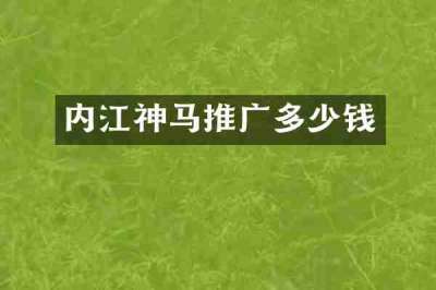 内江神马推广多少钱