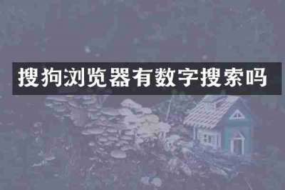 搜狗浏览器有数字搜索吗