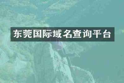 东莞国际域名查询平台