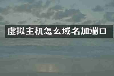 虚拟主机怎么域名加端口