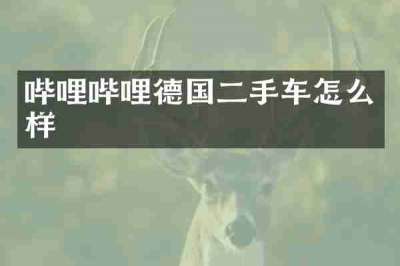 哔哩哔哩德国二手车怎么样