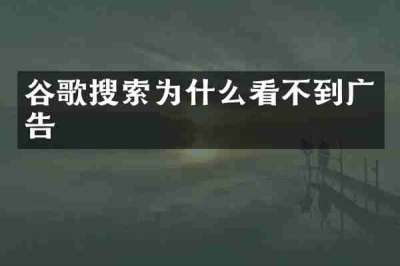 谷歌搜索为什么看不到广告