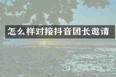 怎么样对接抖音团长邀请