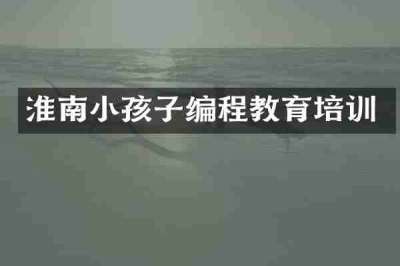 淮南小孩子编程教育培训