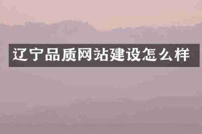 辽宁品质网站建设怎么样