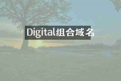 Digital组合域名