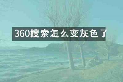 360搜索怎么变灰色了
