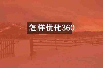 怎样优化360