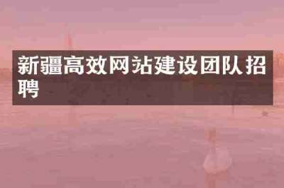 新疆高效网站建设团队招聘