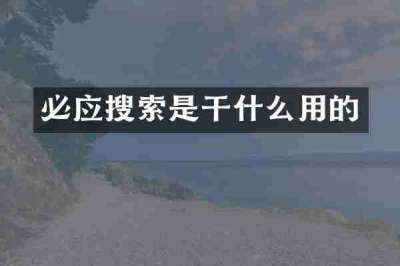 必应搜索是干什么用的
