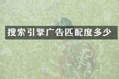 搜索引擎广告匹配度多少