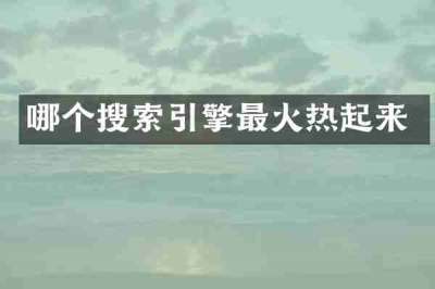 哪个搜索引擎最火热起来
