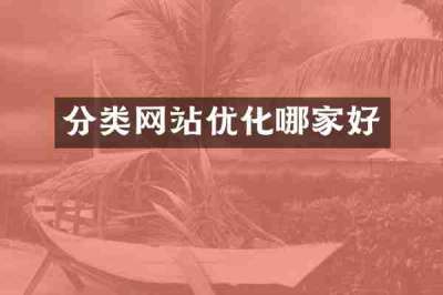 分类网站优化哪家好