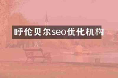 呼伦贝尔seo优化机构