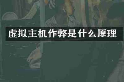 虚拟主机作弊是什么原理