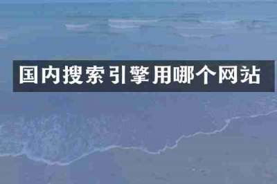 国内搜索引擎用哪个网站