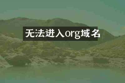 无法进入org域名
