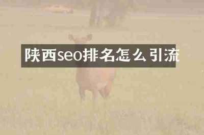 陕西seo排名怎么引流