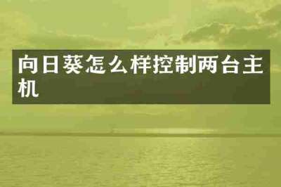 向日葵怎么样控制两台主机
