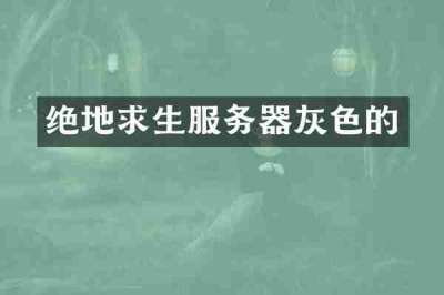 绝地求生服务器灰色的