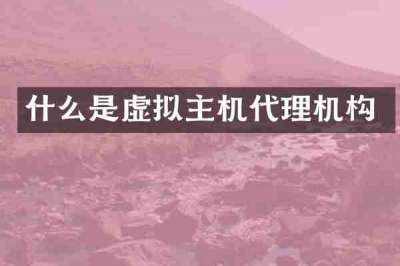 什么是虚拟主机代理机构