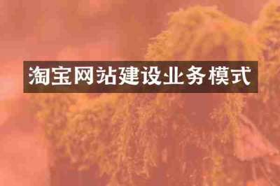 淘宝网站建设业务模式